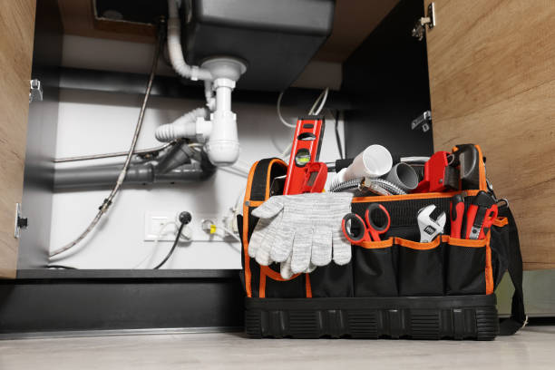 Best Residential Plumbing Services  in Andover, MN