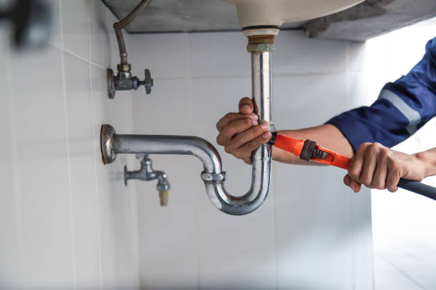 Best Plumbing Inspection Services  in Andover, MN